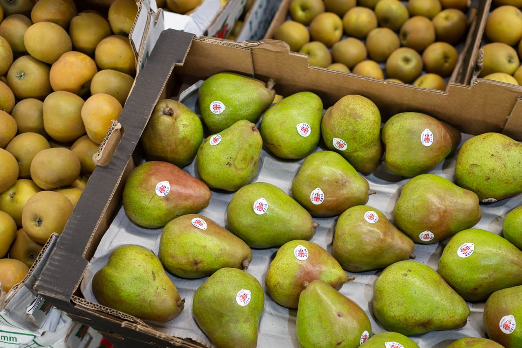 Fruit and veg in season this November New Covent Garden Market