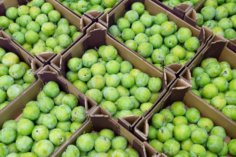 Greengages at New covent Garden Market