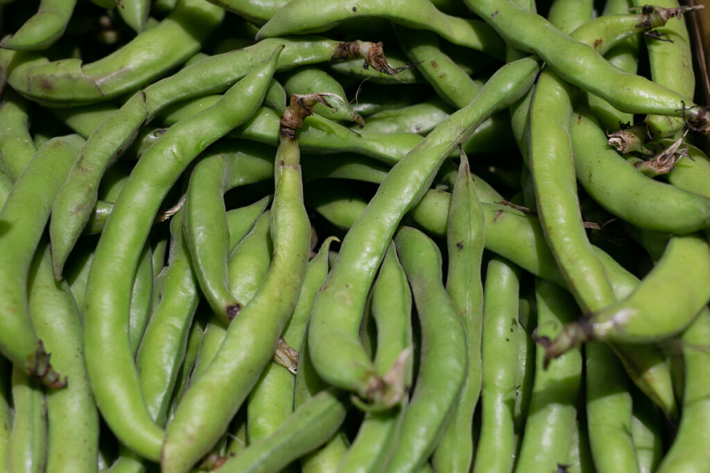 broad beans
