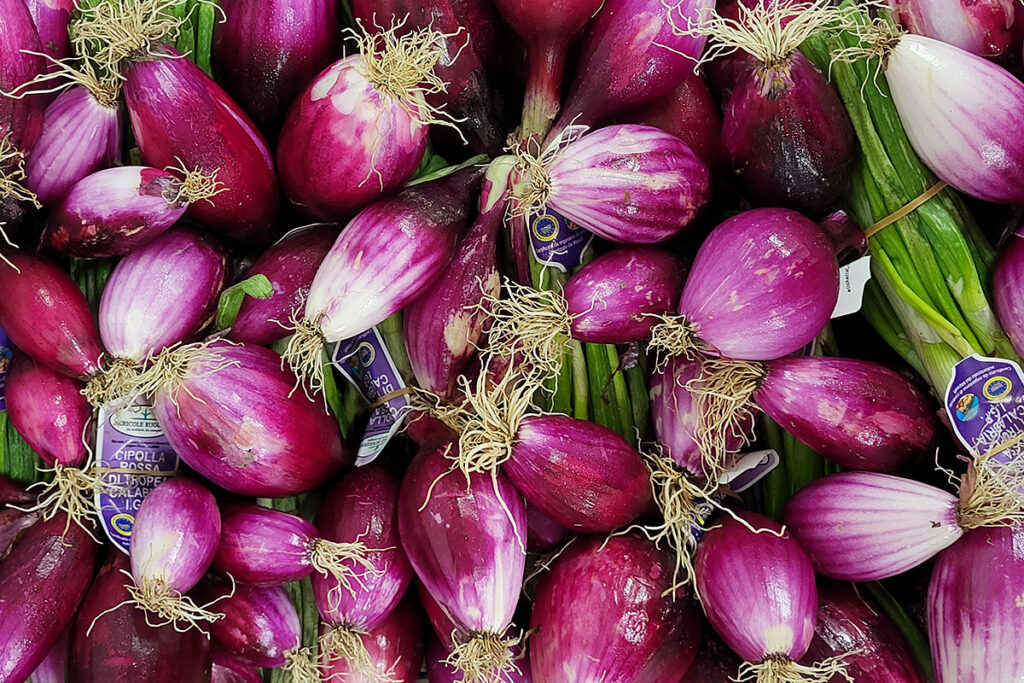 Purple Tropea onions