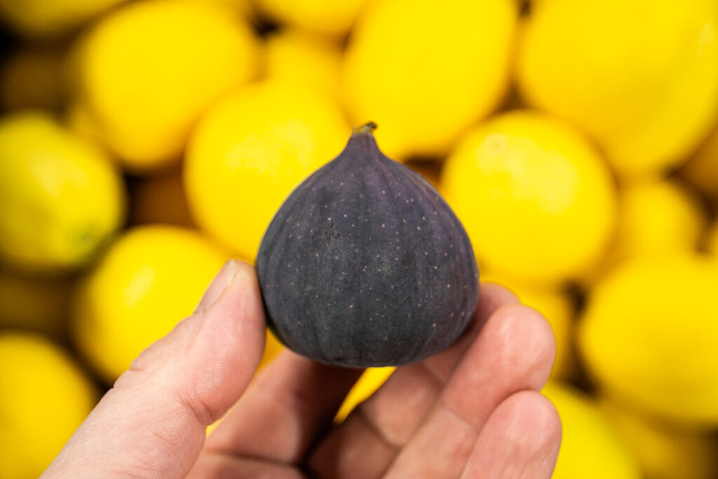 Turkish black figs