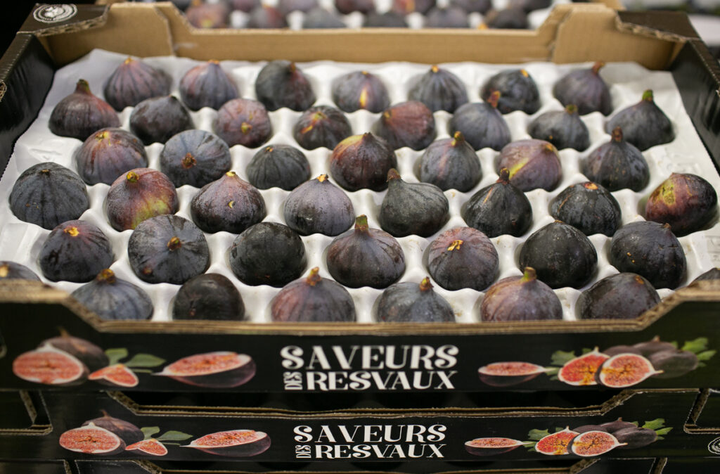 Bursa black figs