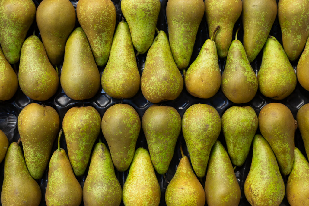 Conference pears

