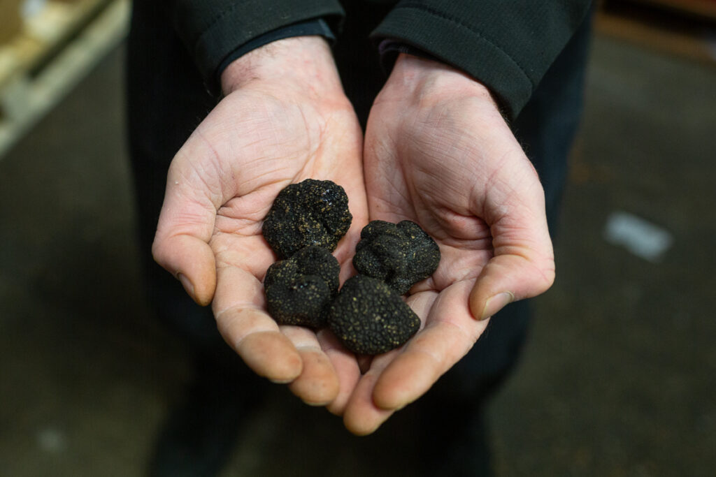 winter truffles

