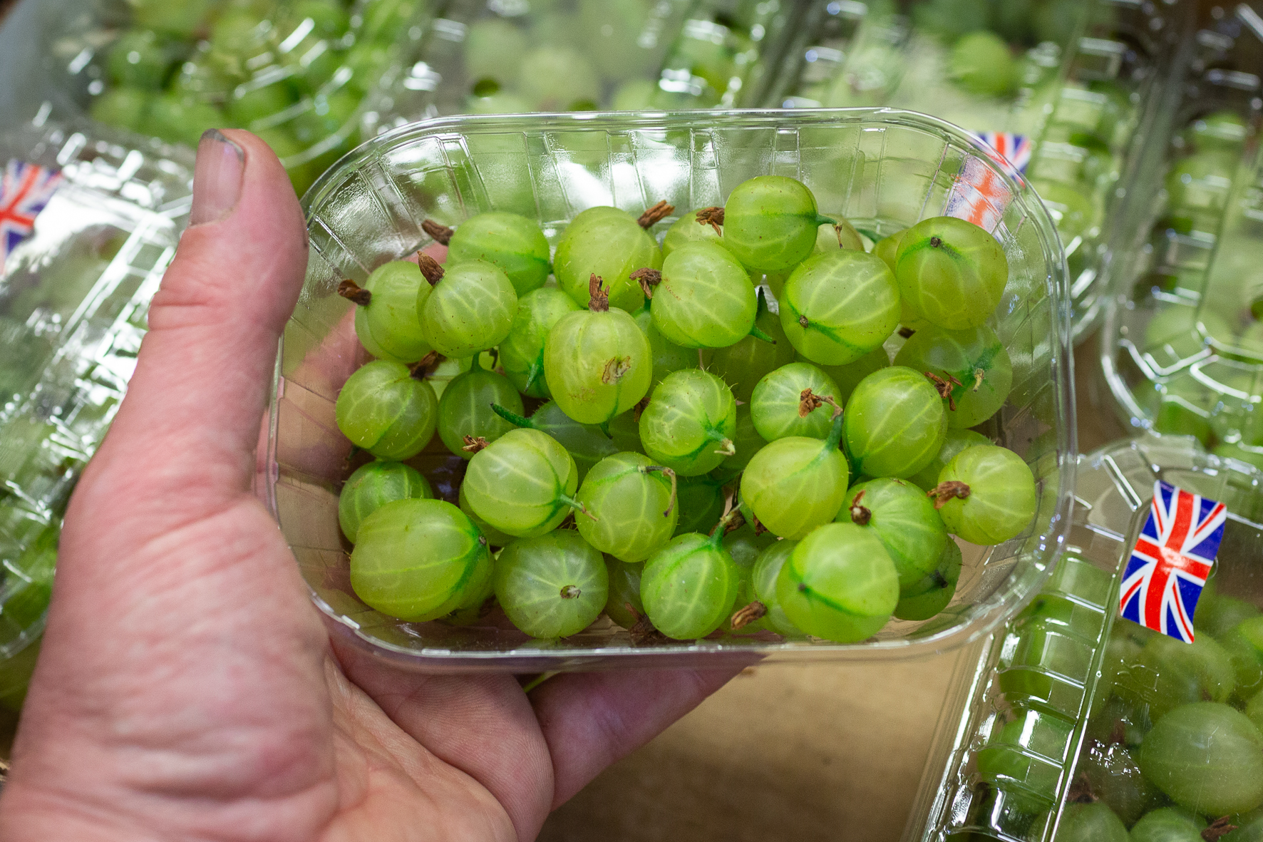 gooseberries