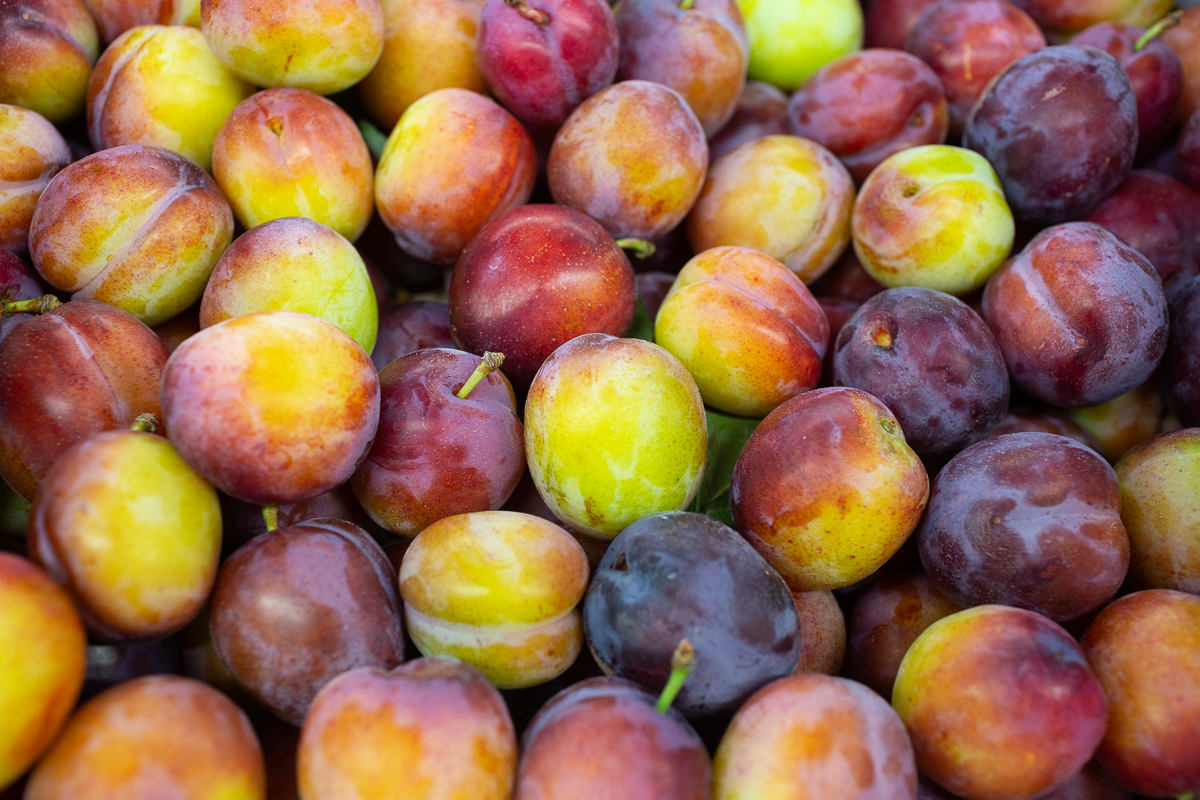 English plums