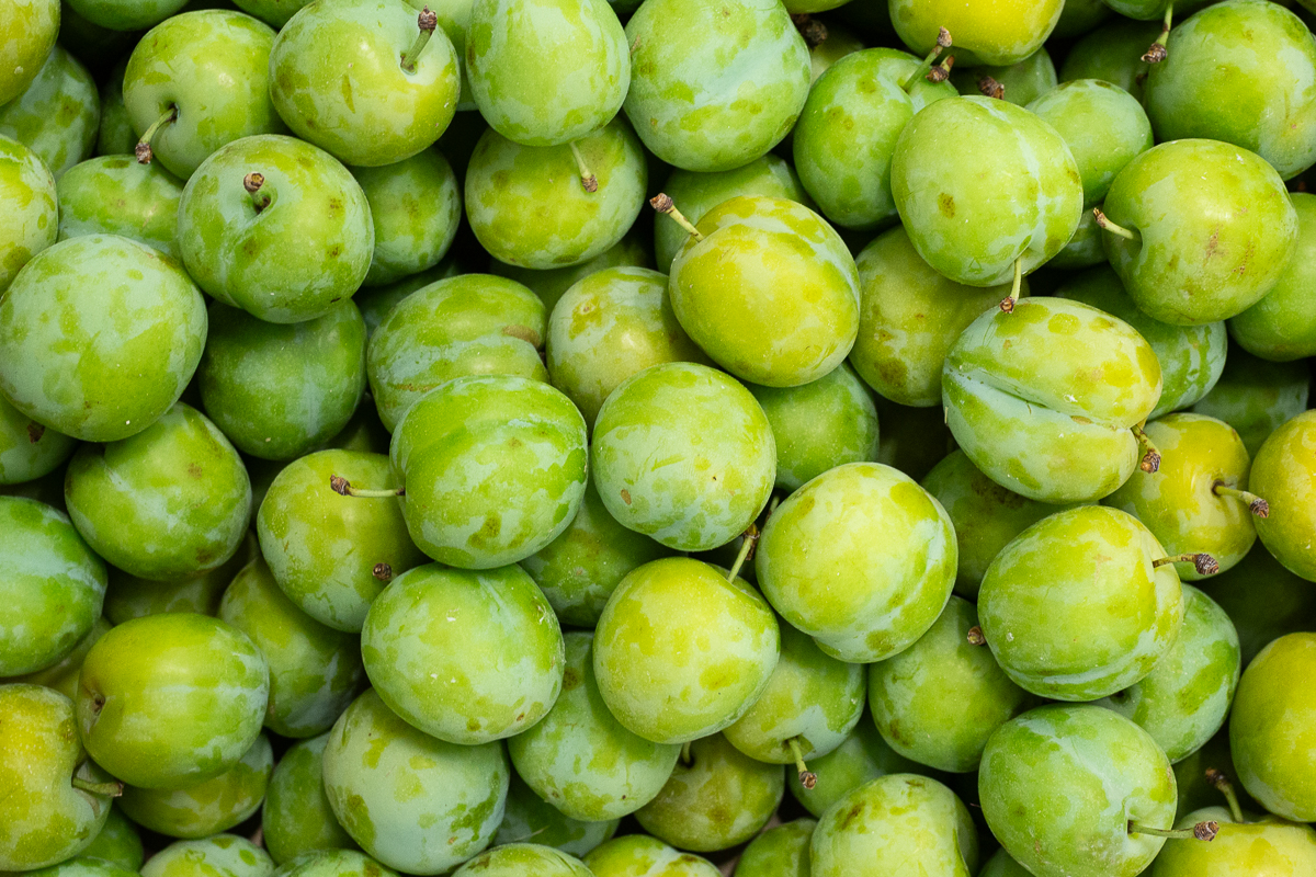 Greengage