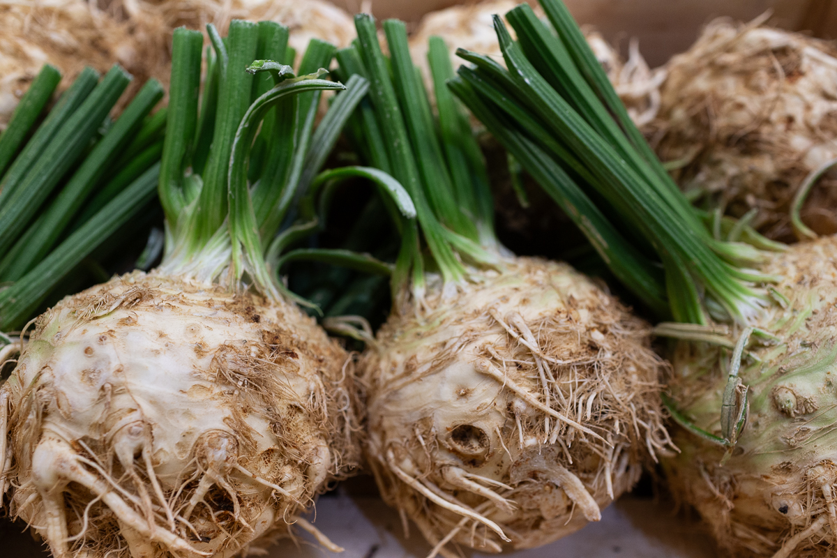 Leafy celeriac