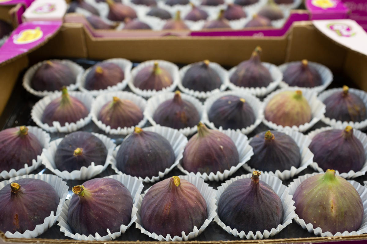 Bursa black figs