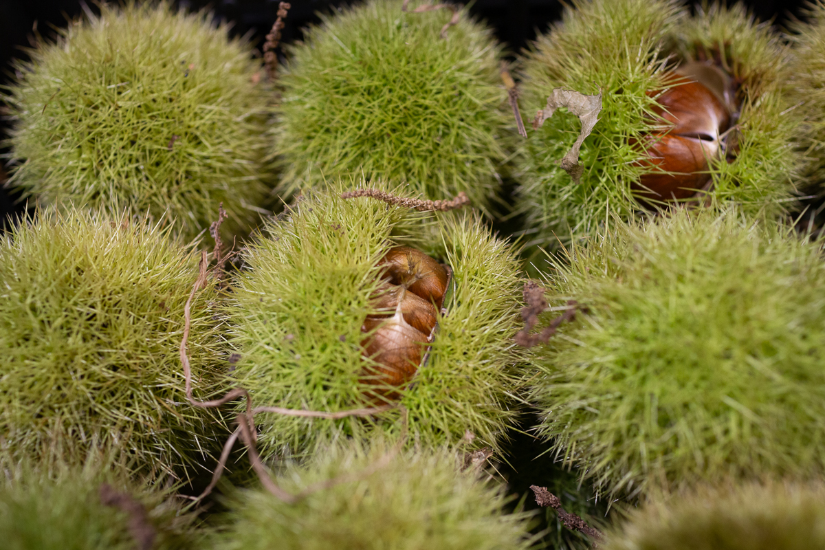 Chestnuts