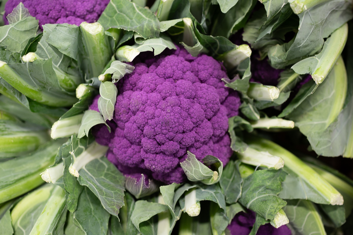 purple cauliflower