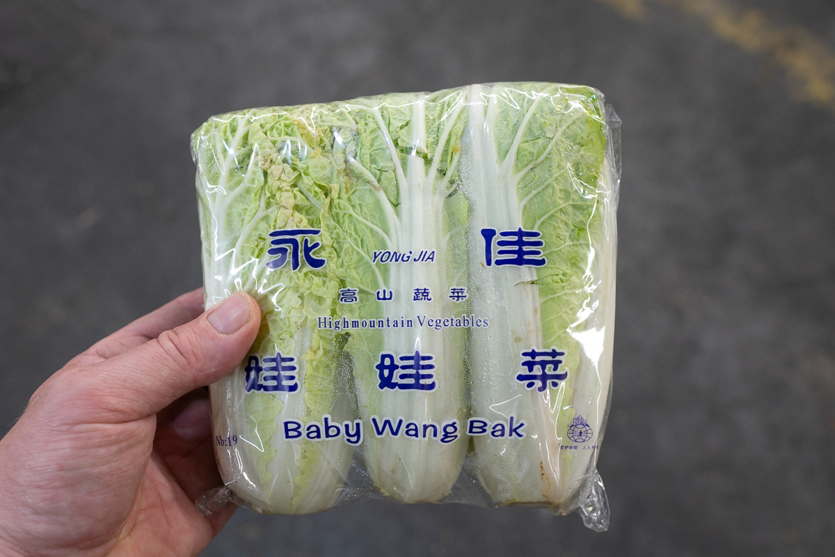 Chinese cabbage