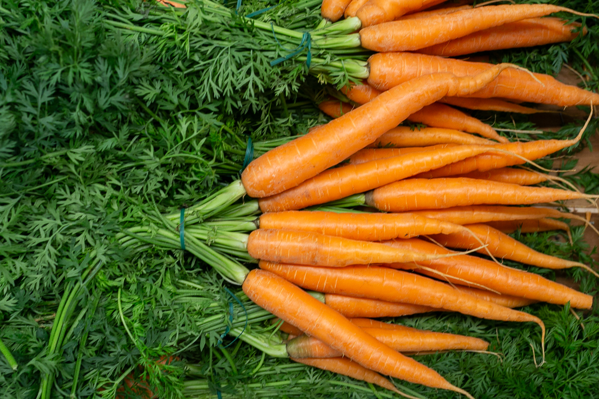 bunched carrots