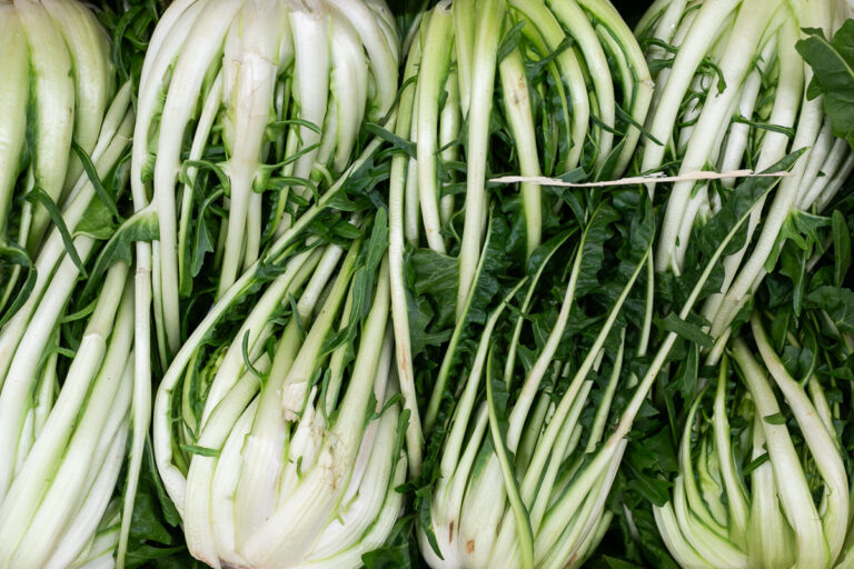 Puntarelle