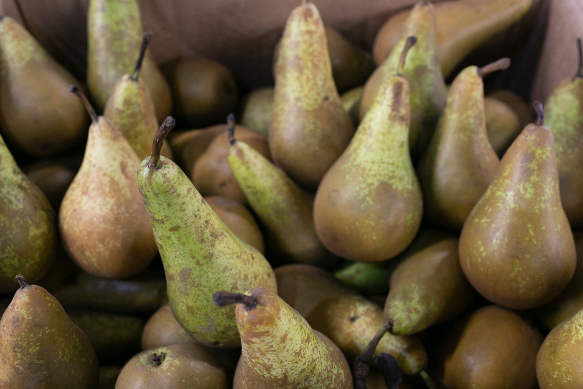 Conference pears