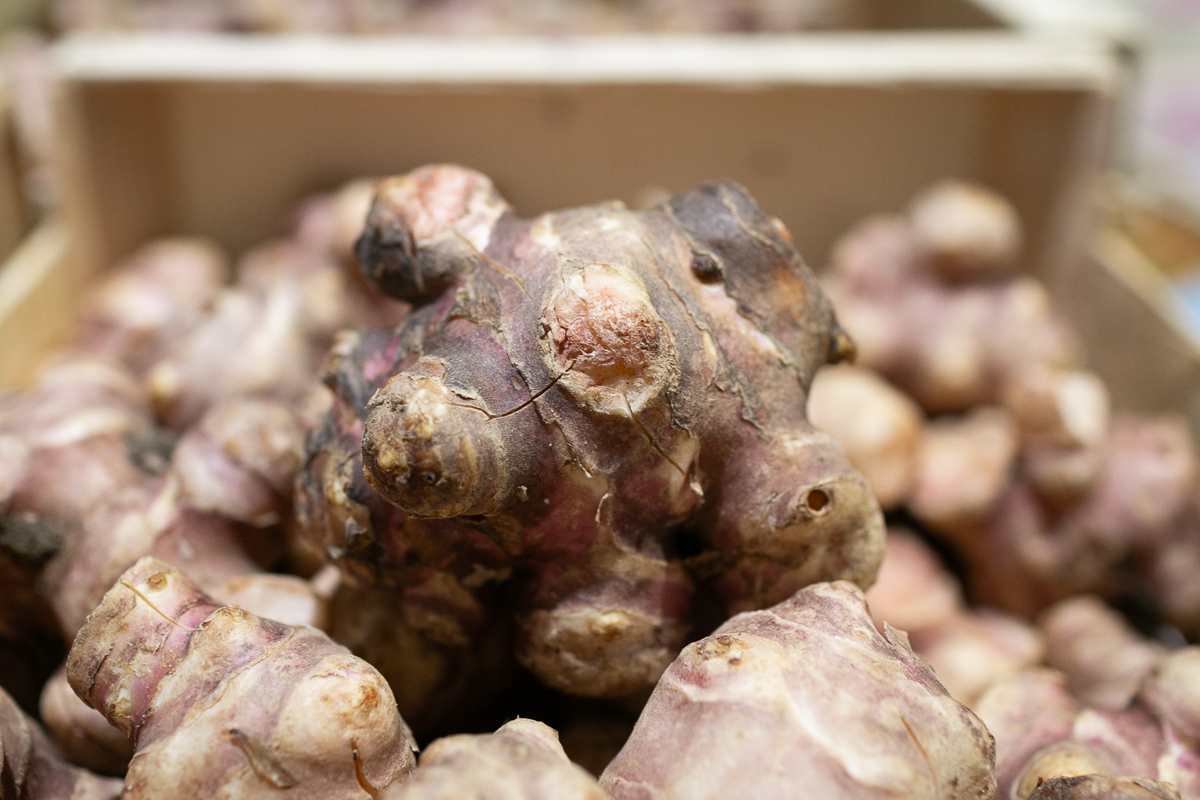 Jerusalem artichoke