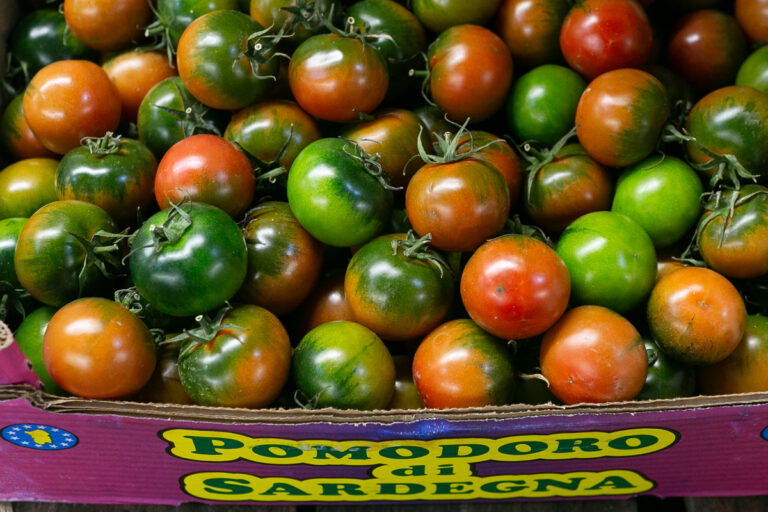 winter tomatoes