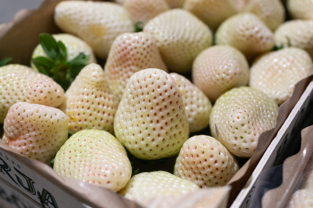 white strawberries