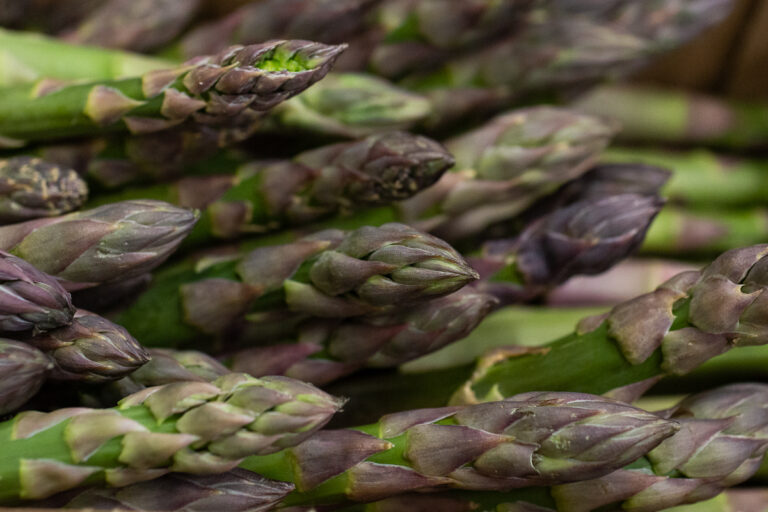 English asparagus
