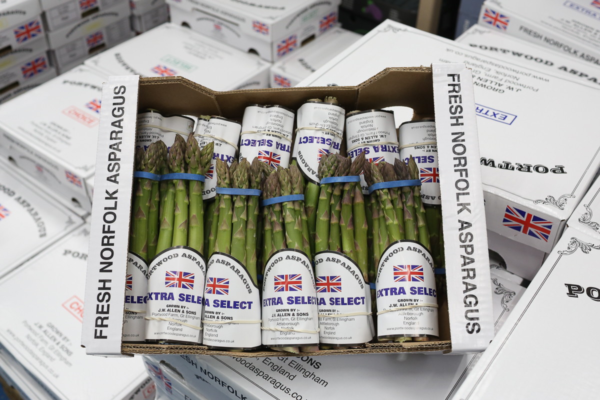 Portwood asparagus
