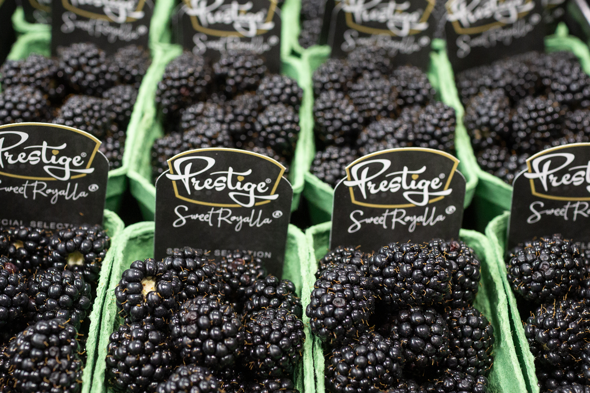 Blackberries