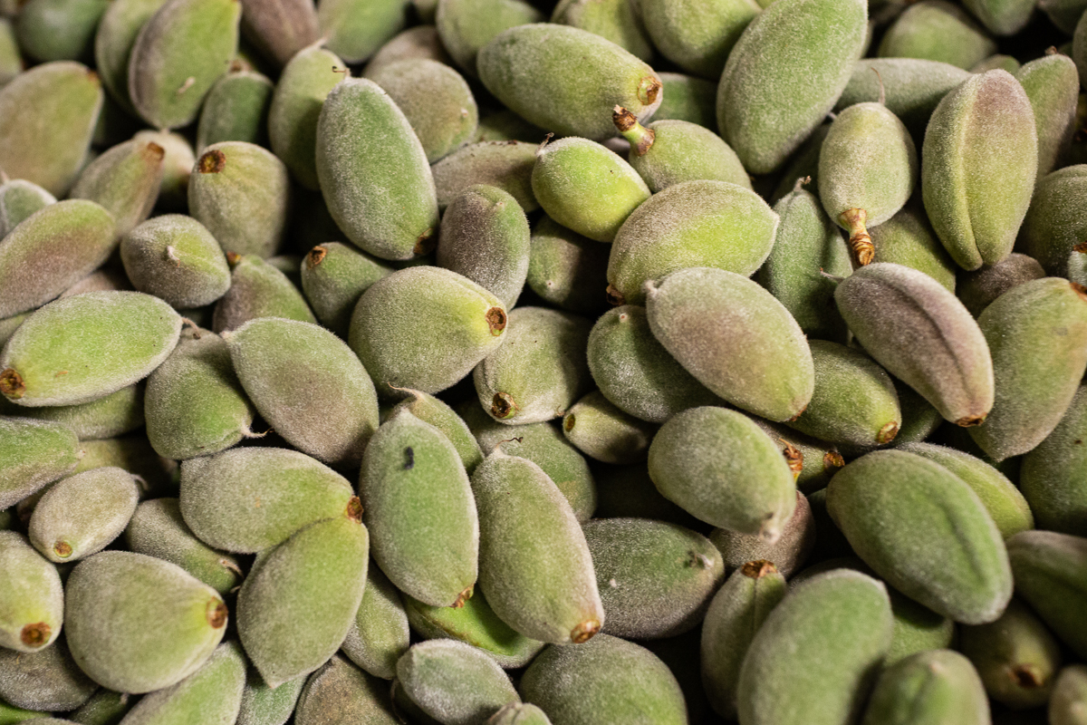 Green almonds