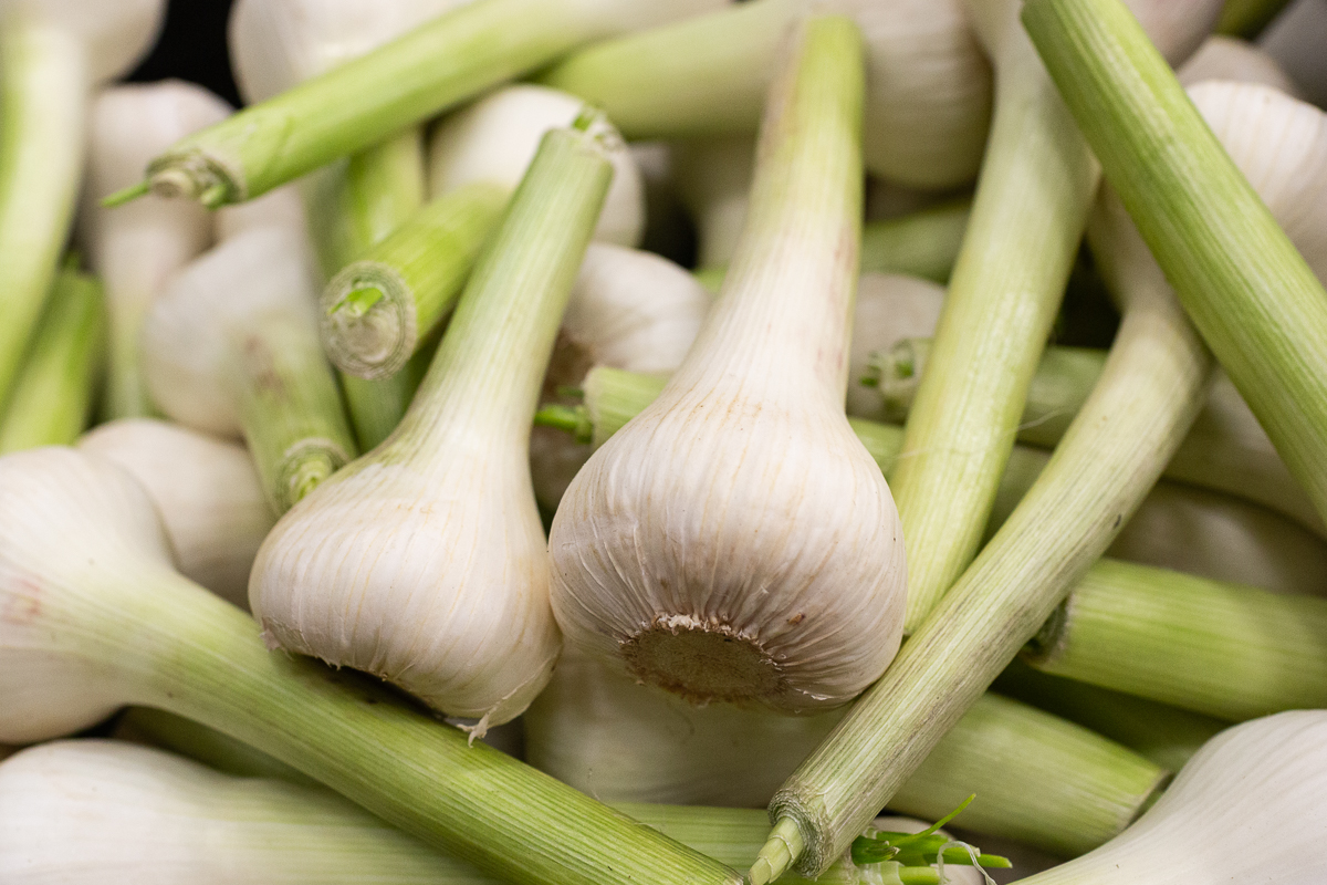 Wet garlic