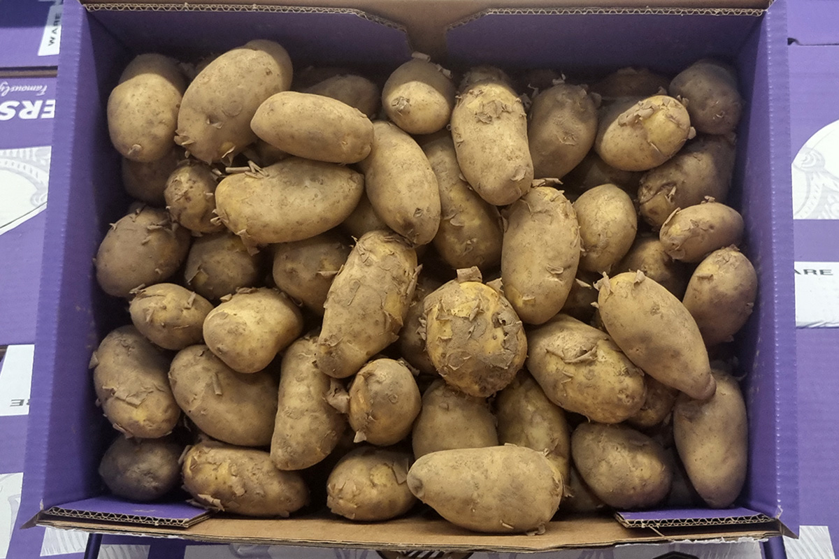 Jersey Royals