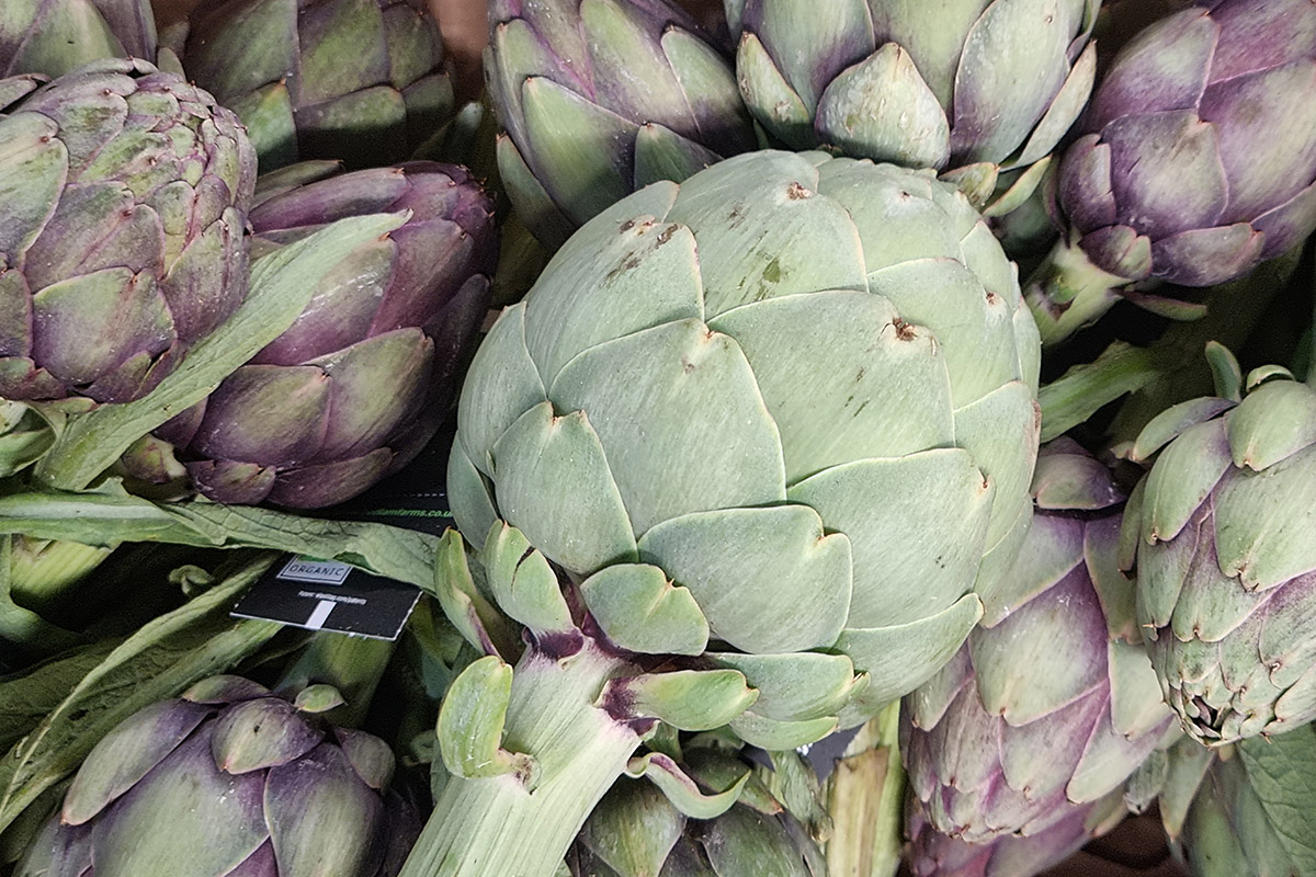 Artichokes