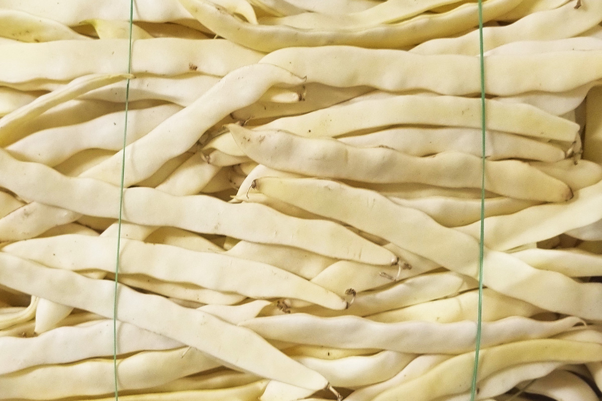 Yellow beans