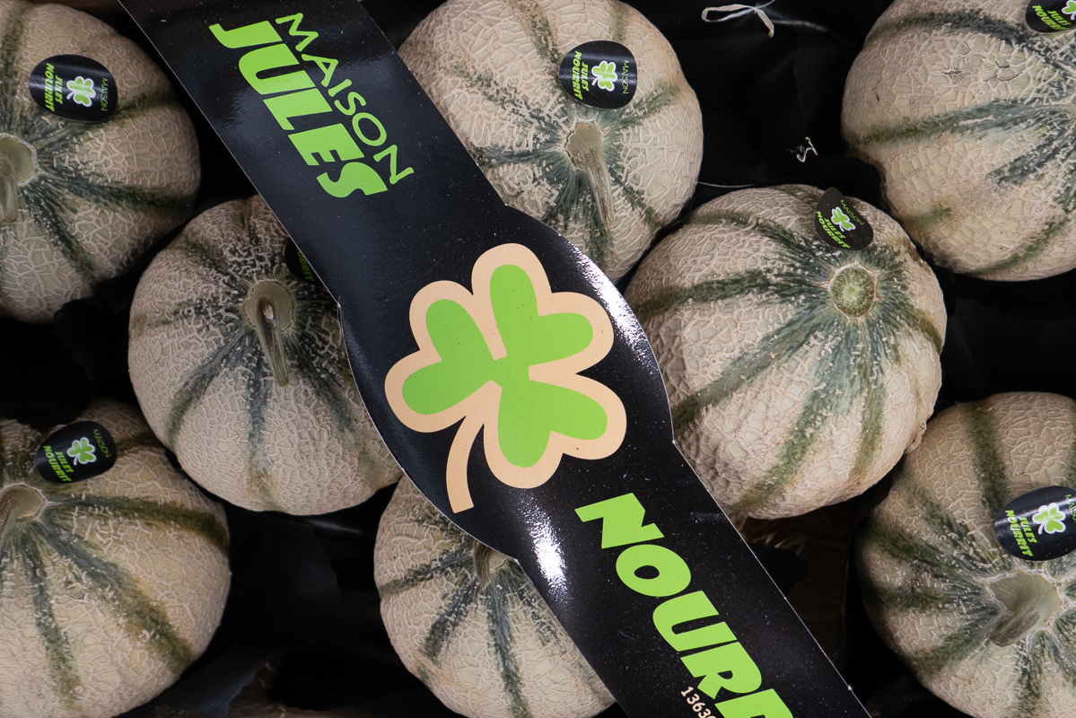 Charentais melons