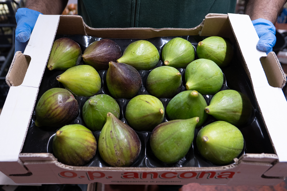 Figs