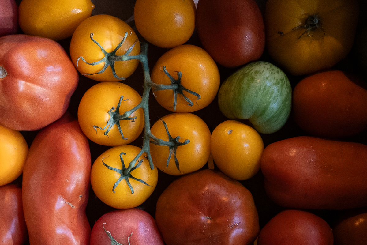 Tomatoes