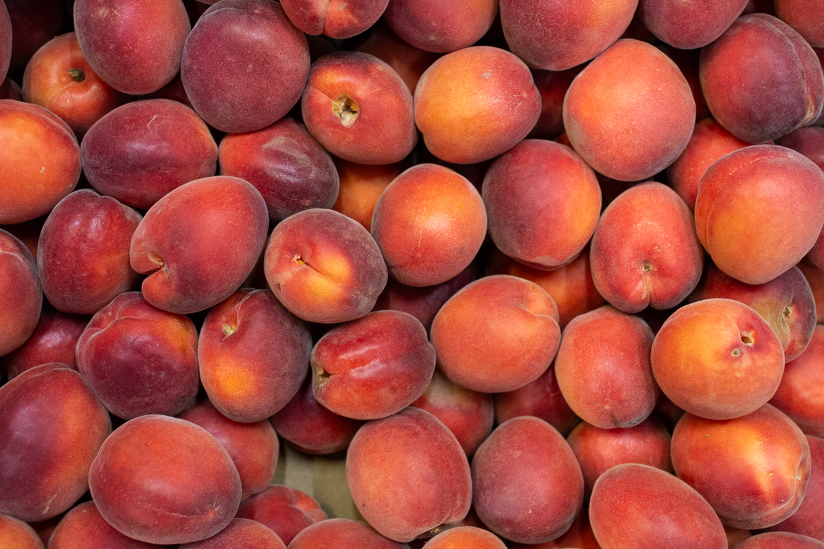 Apricots