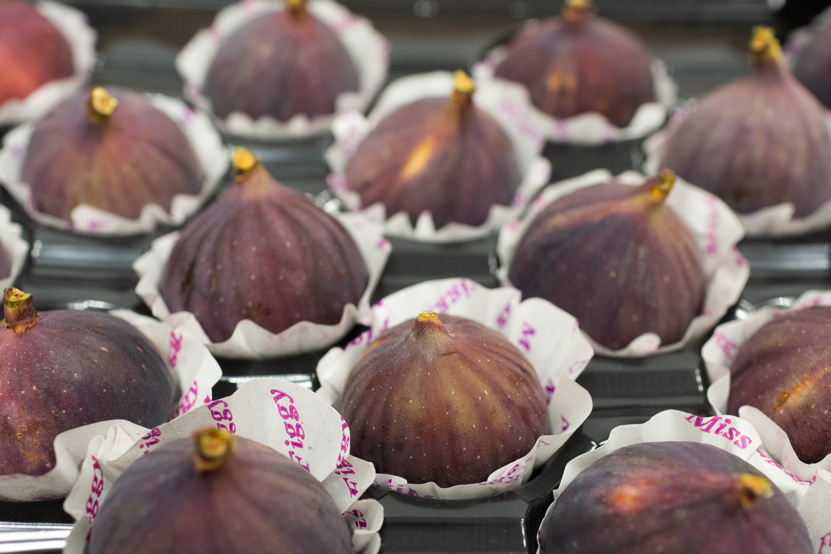 Bursa black figs