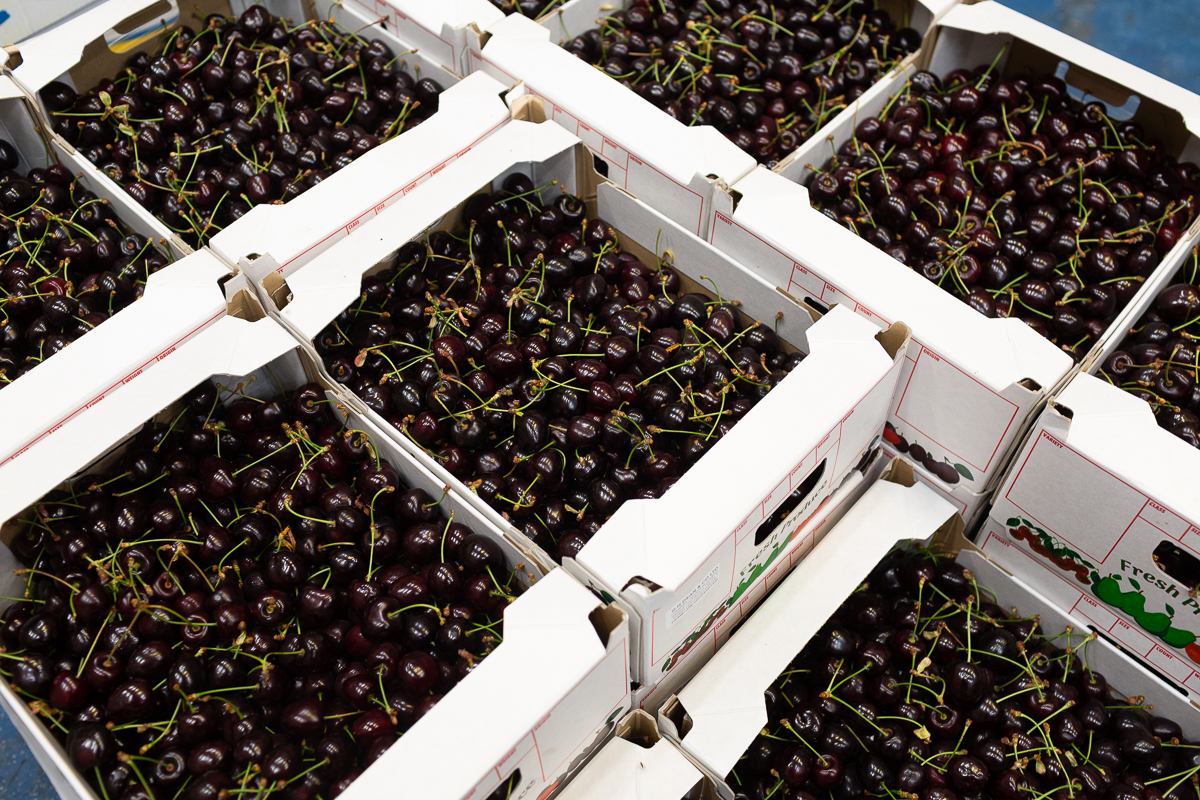 English cherries