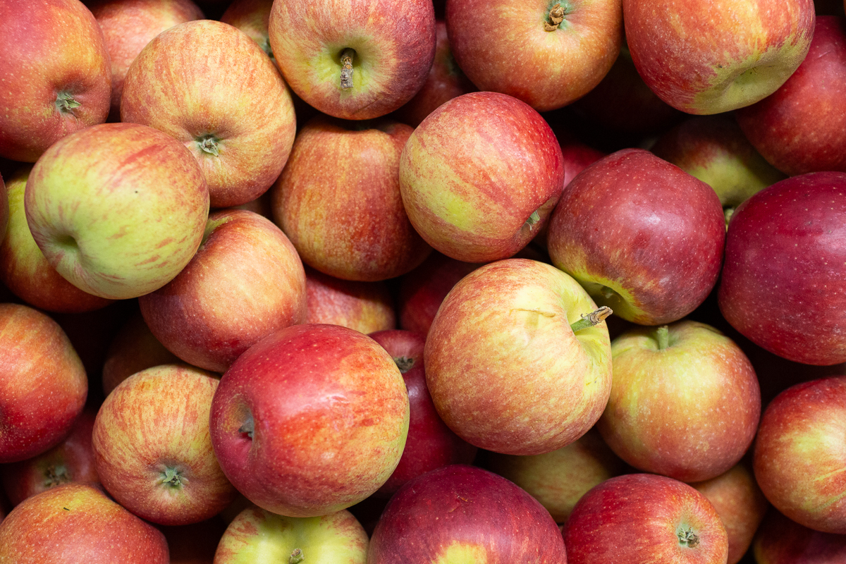 Early Windsor apples