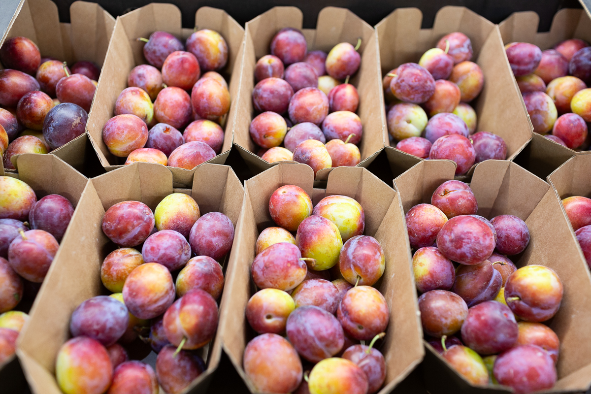English plums