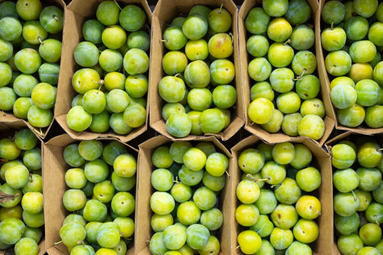 Greengage