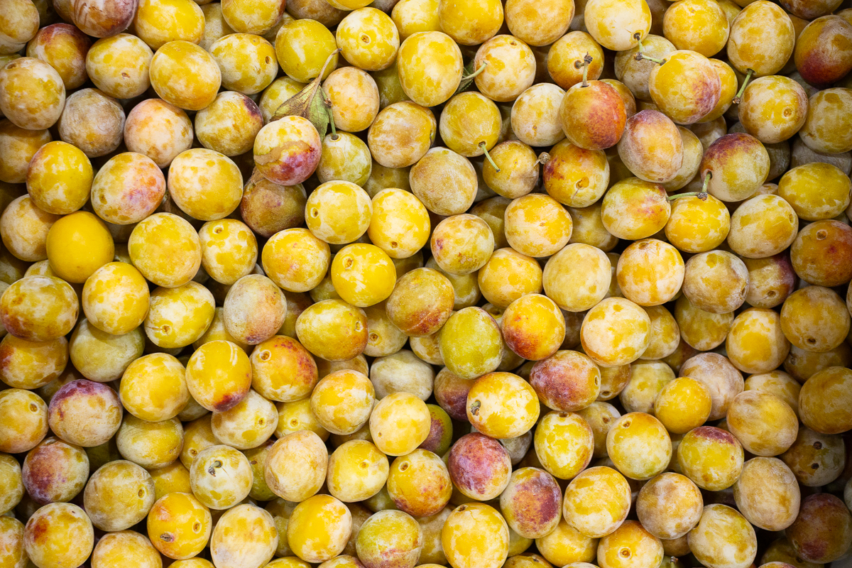 Mirabelle plums