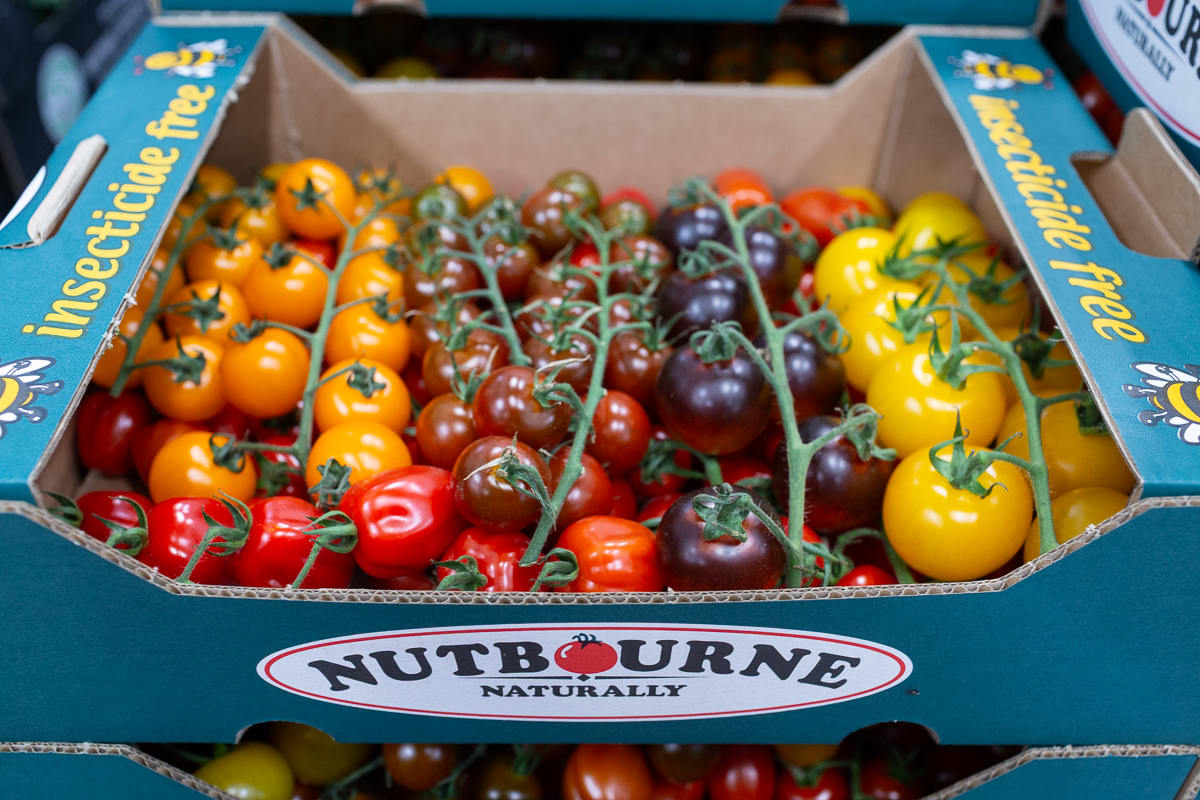 Nutbourne tomatoes