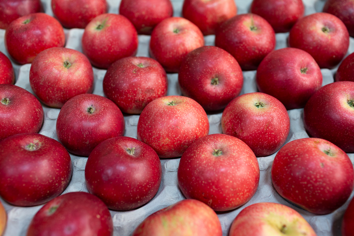Raspberry Ripple apple
