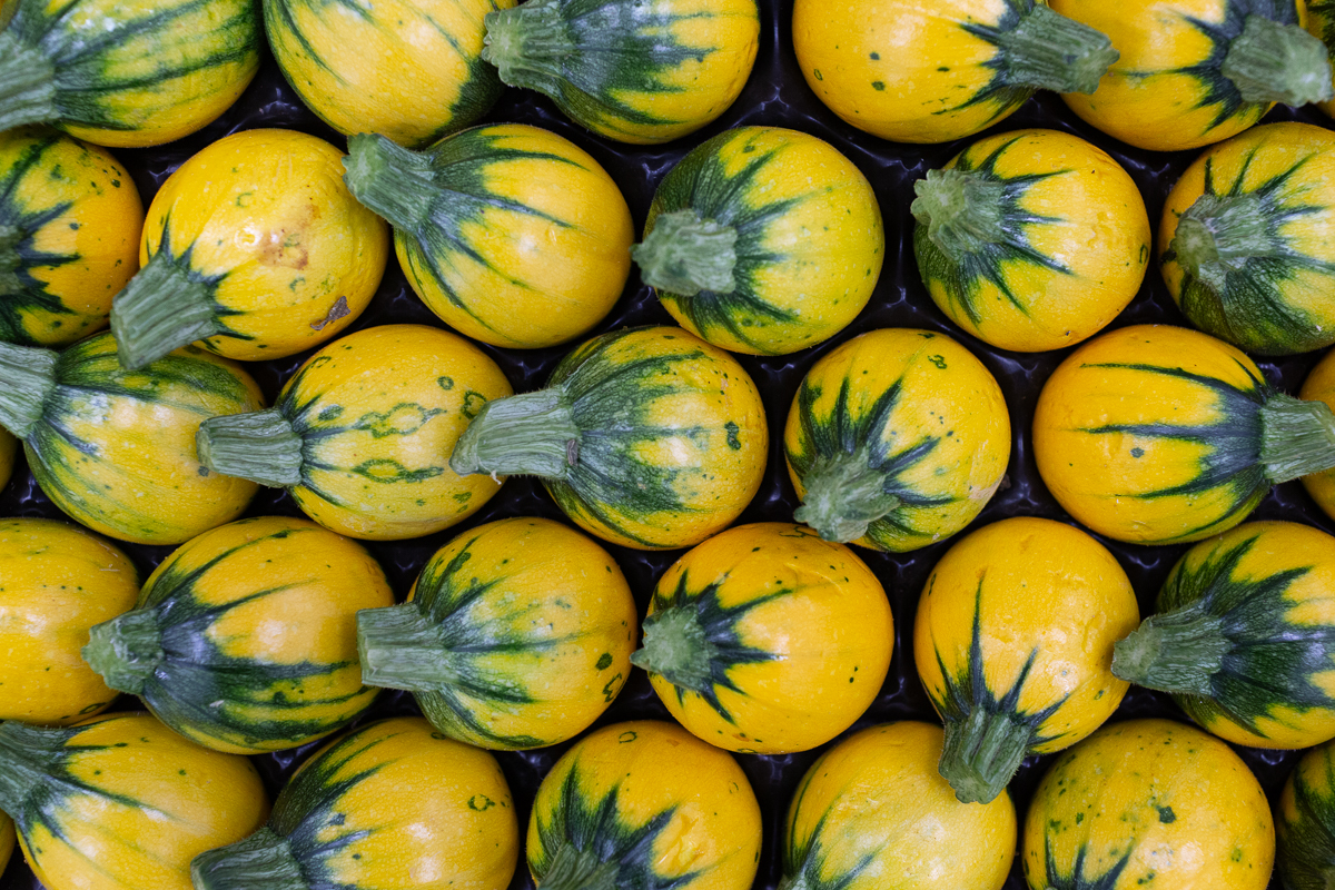 Round yellow courgettes