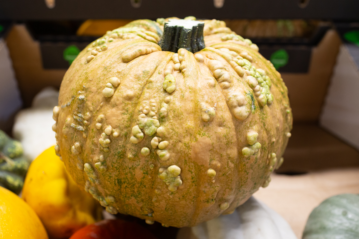 Squash
