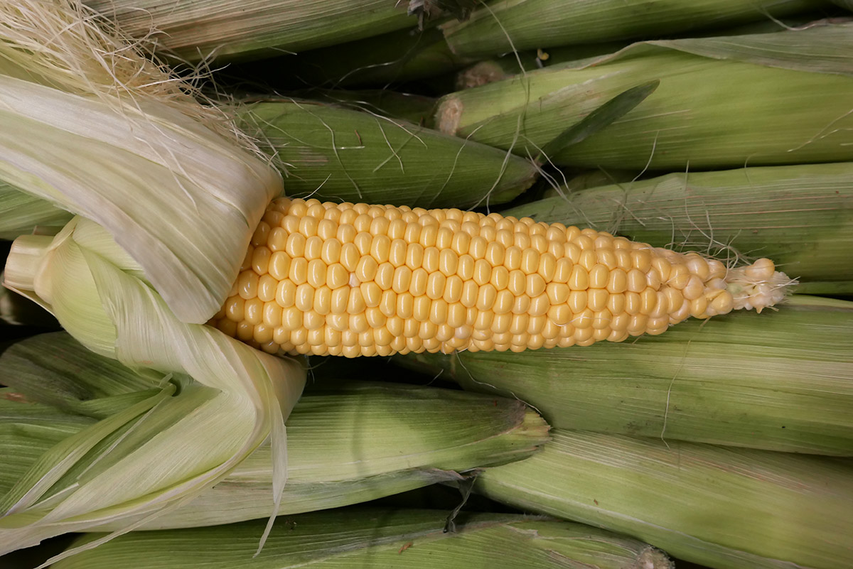 Sweetcorn