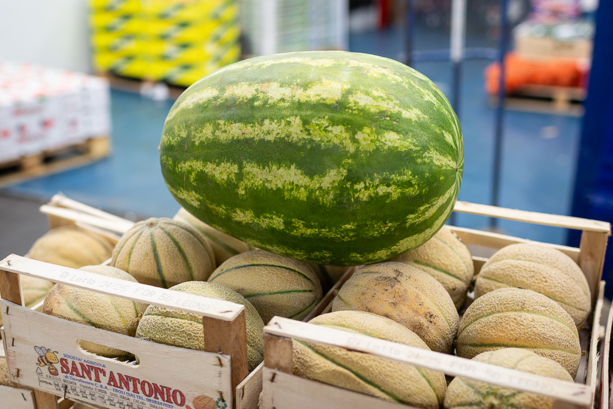 Watermelon