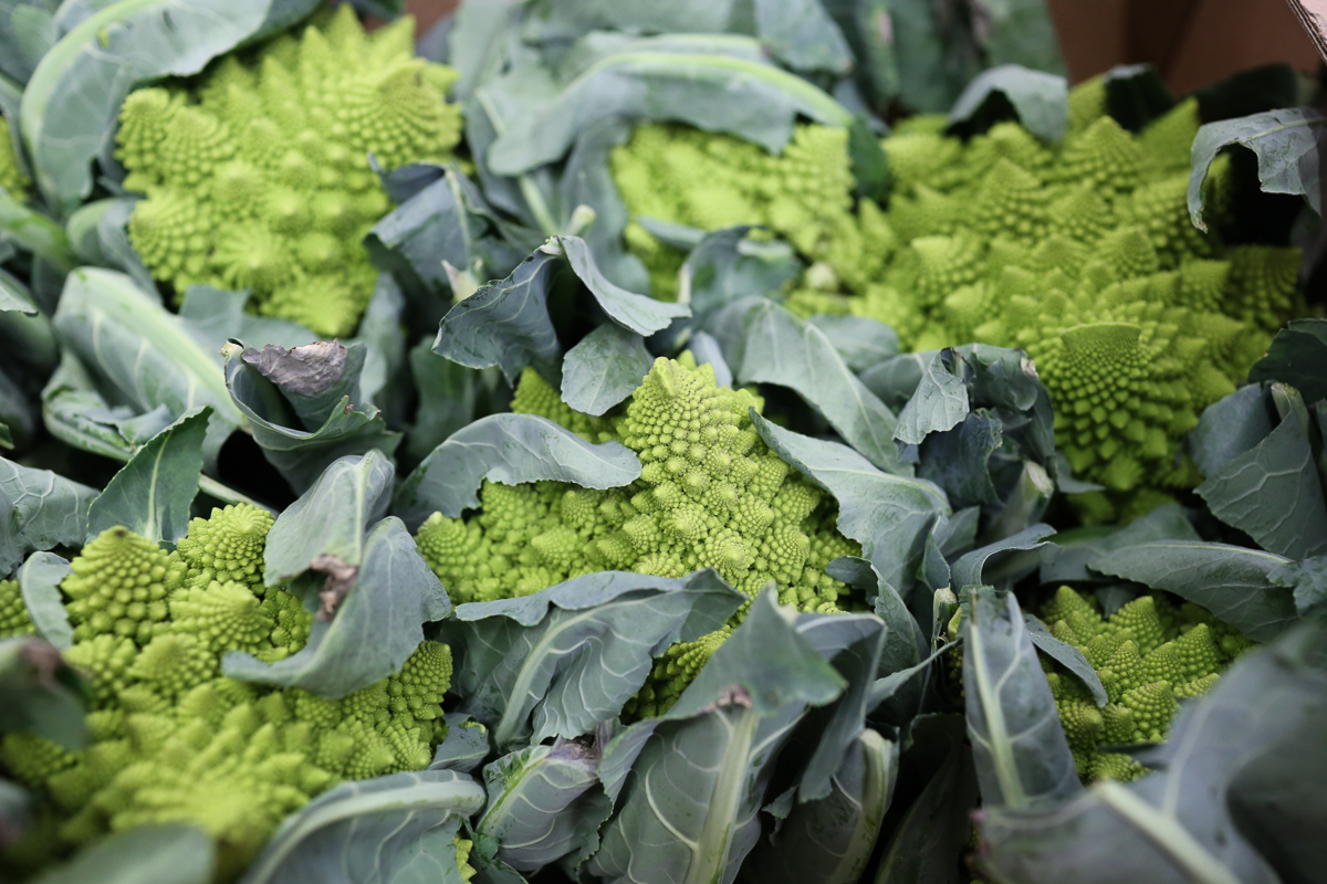 Romanesco