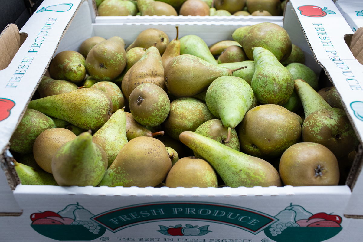 Conference pears
