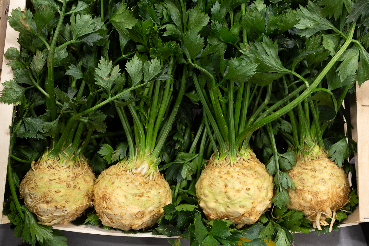 Leafy celeriac
