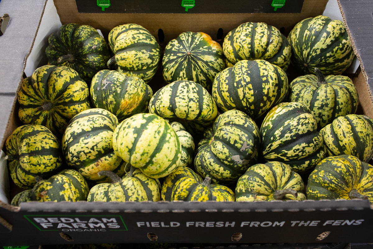 Squashes